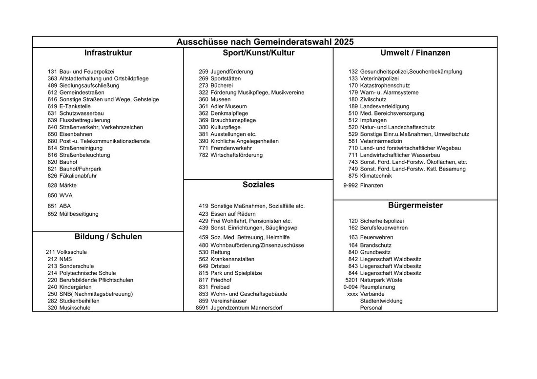 Ausschüsse nach Gemeinderatswahl 2025